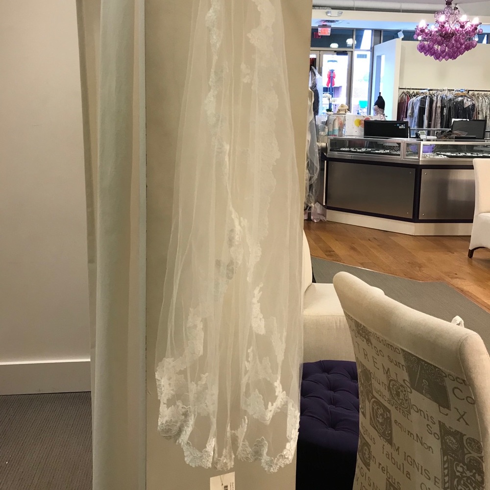 Lacey Veil